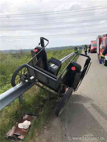 Nach schwerem Unfall: Peta fordert Kutschenverbot im Landkreis Stade - Landkreis Stade - Tageblatt-online