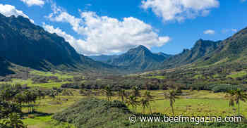 Sometimes it IS all fun and games