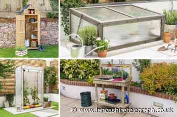 Christow's greenhouses, sheds and more to get the whole family in the garden this Spring