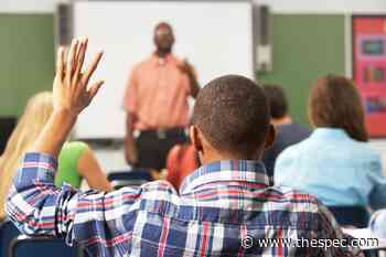 Hamilton public schools to offer learning recovery tutoring - Hamilton Spectator