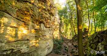 Teufelsschlucht und Dinosaurierpark in der Eifel: Ausflugstipps aus Bonn - General-Anzeiger Bonn
