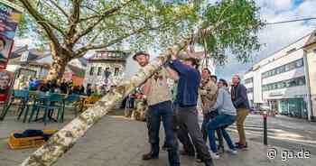 Pfadfinder und Junggesellen setzen Maibäume in Bonn: Der Mai beginnt mit einem Kraftakt - General-Anzeiger Bonn
