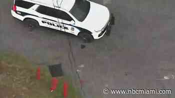 Suspected Fort Lauderdale Car Burglar Crashes During Chase, Flees on Foot