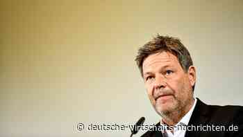 Energiewende und Geopolitik: Habeck bereitet die Deutschen auf weitere Wohlstandsverluste vor