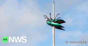 Reuzenkever blijft staan op het Ladeuzeplein in Leuven, ondanks veroordeling van kunstenaar Jan Fabre - VRT NWS