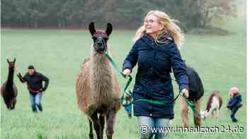 Hunde, Katzen und sogar Lamas: Tierschutzverein lädt ins Tierheim Winhöring ein