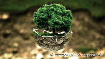 IDD: Leitlinien zu Pflichten bei Nachhaltigkeits-Beratung veröffentlicht - Versicherungsbote