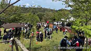 San Marco d’Alunzio, grande partecipazione al “Wood Bosco in Festa” - Nebrodi News