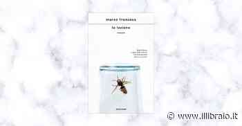 “La lezione”: Marco Franzoso racconta la discesa verso gli inferi di una giovane donna - Il Libraio