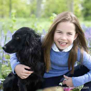 William and Kate celebrate Princess Charlotte's seventh birthday with new photos