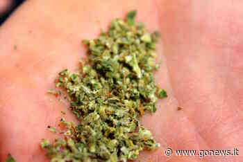 Spaccia in centro a Pisa, 43enne in manette - gonews