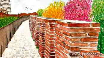 Le Mura in primavera tra donnole e volpi, un corridoio ecologico - PisaToday