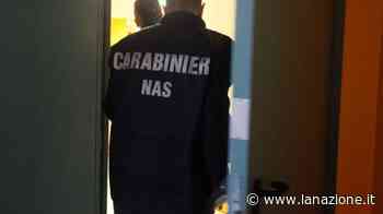 Crioterapia, macchina sequestrata in una palestra di Pisa - LA NAZIONE