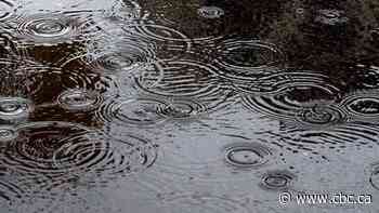 Special weather statement warns 20-30 mm of rain expected for Hamilton area