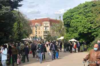 Nancy. Cet événement incontournable fait son retour ce week-end au parc Sainte-Marie - Lorraine Actu