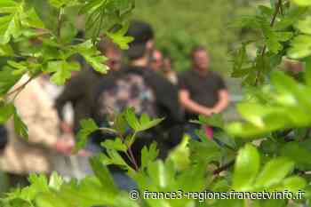 Nancy : échapper à une amende pour infraction à l'environnement grâce à une initiative du tribunal - France 3 Régions