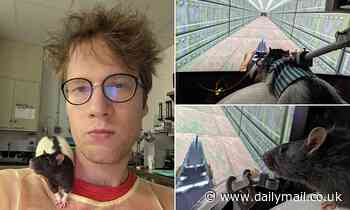 Scientist teaches his pet RAT how to play video games