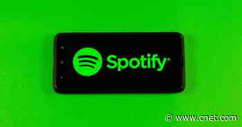 Spotify Arrives on Roblox With a Private Musical Island     - CNET