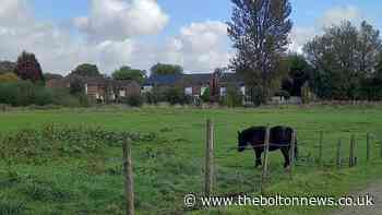 Bolton: Resident calls for green space to be saved - The Bolton News