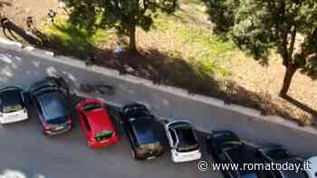 Emergenza cinghiali, a Valle Aurelia il custode mette al sicuro i bambini nel parco