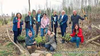 Start der Klimainitiative: 1800 Baumsetzlinge für die Region um Nagold