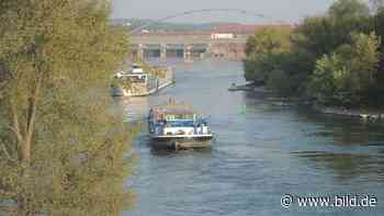 Beinahe-Unfall: Angetrunkener Kapitän ignoriert Signal bei Passau - BILD