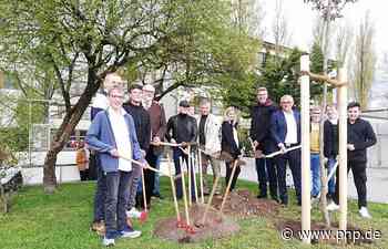 Mehr als nur ein Baum - Passau - Passauer Neue Presse - PNP.de