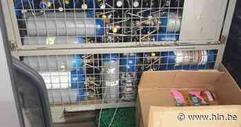 Politie vindt 105 flessen lachgas in bestelwagen in Hoboken - Het Laatste Nieuws