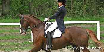Das Dressur-Opening kommt im nächsten Jahr wieder - Kieler Nachrichten