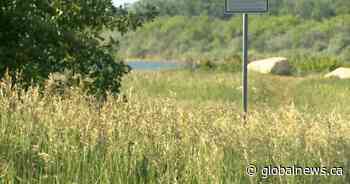 Saskatoon Fire Department fights controlled burn that got out of control in Corman Park - Global News