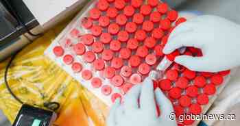 Ontario COVID numbers: 1,699 people in hospital, 202 in intensive care