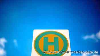 ÖPNV im Kreis Calw: Was man zum Neun-Euro-Ticket wissen muss