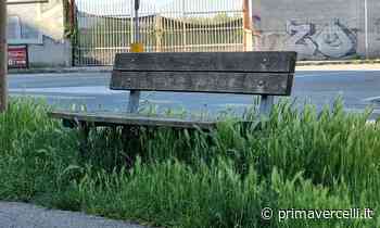Giungla in Viale Torricelli, panchine assediate da erbe - Prima Vercelli