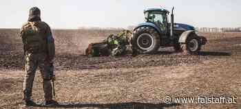 Ukraine Krieg: Was bedeutet er für die Versorgungssicherheit in Österreich?