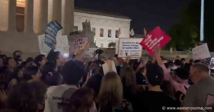Chaos Hits the Steps of the Supreme Court as Shrieking Abortion Advocates Call to 'Shut it Down'