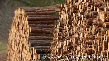 Ressourcen für 2022 in Deutschland schon verbraucht