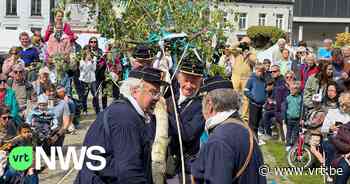 Tervuren plant meiboom: “Veel eerder dan Meyboomplanting in Brussel en Leuven” - VRT NWS