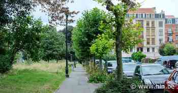 Stad Brussel organiseert binnenkort tweede Week van de Biodiversiteit - Het Laatste Nieuws