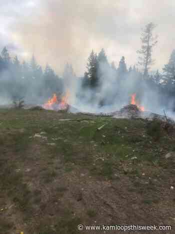 Suspected arson fires east of Kamloops keep BC Wildfire Service busy - Kamloops This Week