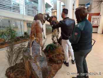 In Provincia a Cuneo la prima prova degli esami di abilitazione venatoria - TargatoCn.it