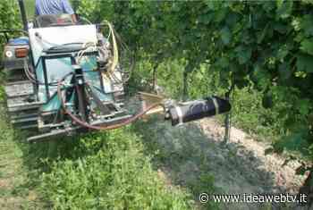 Cia Cuneo organizza i corsi di preparazione all’uso responsabile e consapevole dei fitosanitari - IdeaWebTv