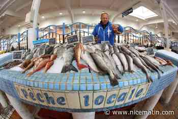 Mange-t-on trop de poissons?