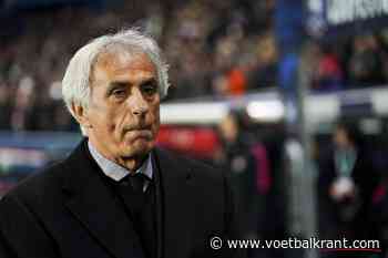 Geruchten rond ontslag Vahid Halilhodzic als Marokkaans bondscoach, bond ontkent
