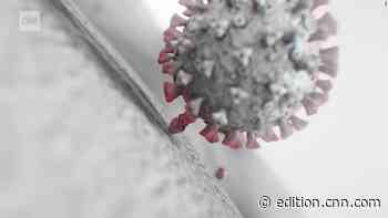 Newer, fitter descendants of Omicron variant begin to drive their own coronavirus waves - CNN International