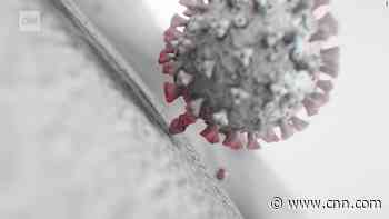 Newer, fitter descendants of Omicron variant begin to drive their own coronavirus waves