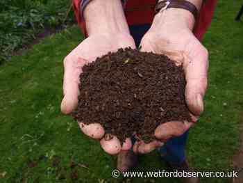 Watford Borough Council giving residents free compost