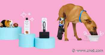 Celebrate Pet Week With 30% Off Toys, Treats, Beds and More at Petco     - CNET
