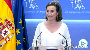 Gamarra sobre el informe del CNI: «Felicidades a OKDIARIO, Sánchez tiene mucho que responder» - Okdiario