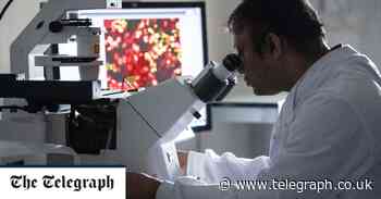 Scientists switch on 'sleeping gene' that makes food more nutritious - The Telegraph