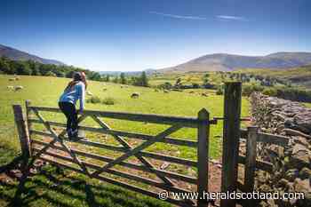Local food movement reinforces the messages of buying and eating local food - HeraldScotland
